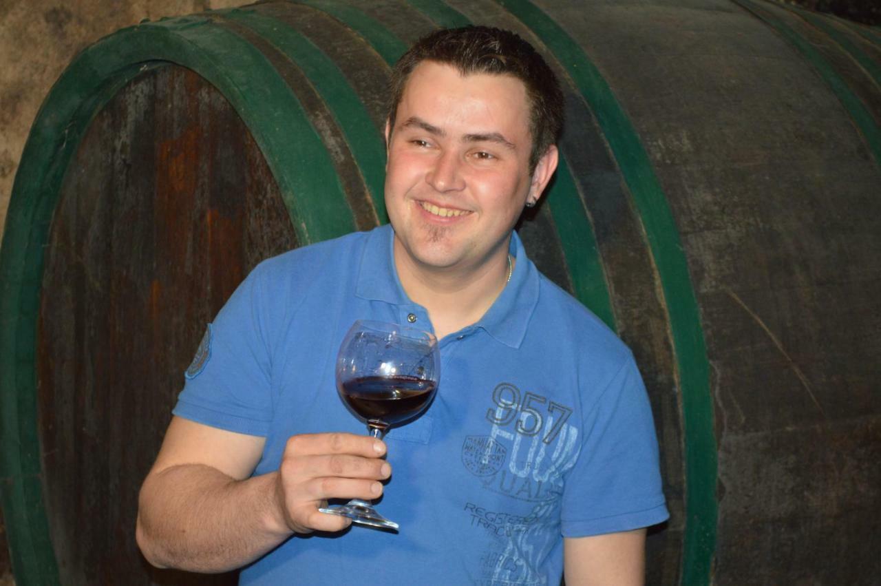 莫比斯希安西 Andreashof Moerbisch酒店 外观 照片